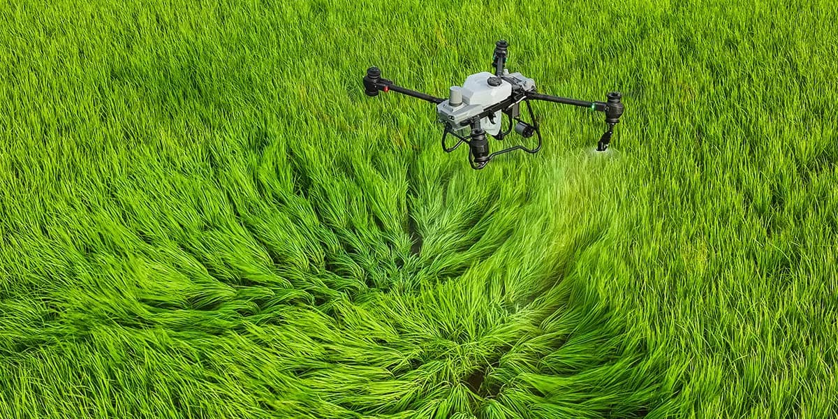 DJI AGRAS T50 flying over a green crop field during agricultural operations