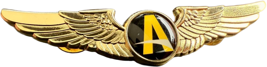 ACE Aviation gold graduate wings pin
